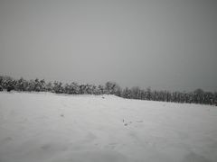 -沣峪口