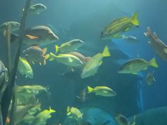 -沈阳海洋探索中心