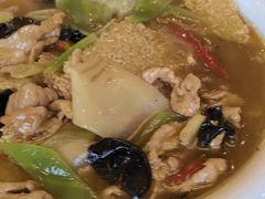 -陈麻婆豆腐总店