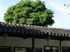 -常熟方塔园