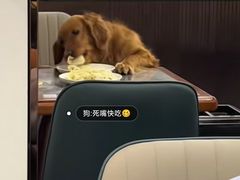-奉天蚨祥饺子馆