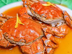 -老吉堂上海本帮菜(工体店)