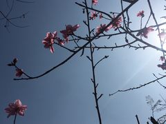 -重庆彩云湖湿地公园