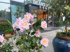 -Beans Solo豆号咖啡(百家湖花园店)