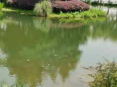 -金银湖国家城市湿地公园