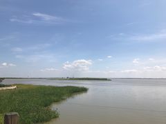 -呼兰河口湿地公园