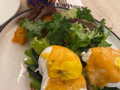 班尼迪克蛋牛油果素餐-玲婧胡同·生日蛋糕·餐厅(嘉里城店)