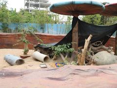 -泉州海丝野生动物世界