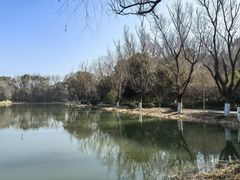 -昆山城市生态森林公园