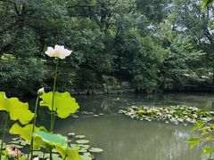-东湖落雁景区