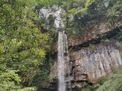 -龙苍沟森林公园