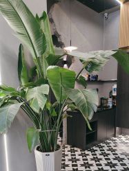 -老肖男士理发店