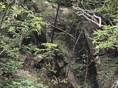 -狼牙山风景区