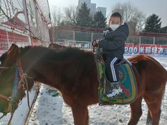 -沈阳奥体冰雪嘉年华