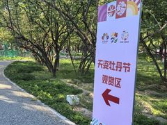 -太阳宫公园