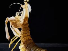 -温鼎府·海鲜火锅(前门23号院店)