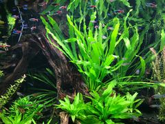 -上海海洋水族馆