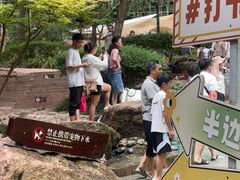 -五凤溪古镇