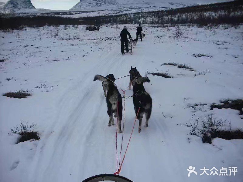 我来了，从斯德哥尔摩中央火车站坐火车一路向北