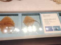-舟山博物馆