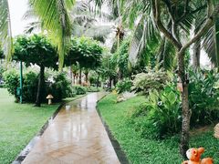 -三亚亚龙湾天域度假酒店