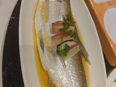 -上海1号私藏菜(黄浦店)