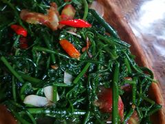 炒蕨菜-基诺山寨.版纳民族特色菜