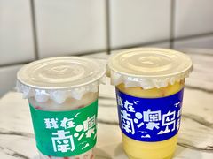-南澳岛打卡果汁冰公司