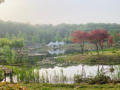 -佛手湖郊野公园