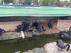 -八景休閒山莊  廣東十大名山莊