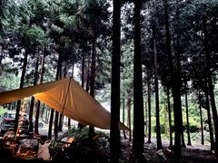-重庆睡佛山森林公园