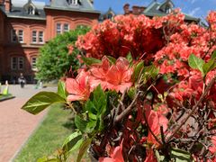 -北海道厅旧本厅舍(旧本庁舎)