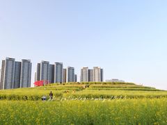 -光明小镇欢乐田园