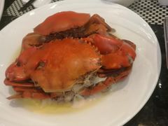 -新兴·金羊座·粤菜点心(乐峰店)