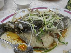 -凤城礼记鱼翅海鲜酒家(新马路总店)