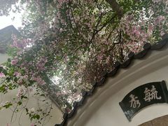 -深圳国际园林花卉博览园