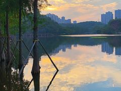 -重庆彩云湖湿地公园