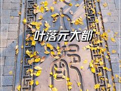 -元大都城垣遗址公园