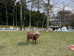 -二沙岛艺术公园
