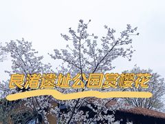 -良渚古城遗址公园