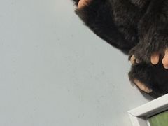 -重庆轻喜到家家政保洁