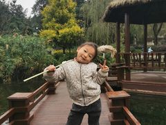 -成飞公园