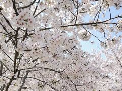 -苏州上方山国家森林公园