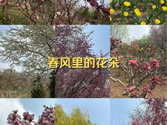 -石家庄市植物园