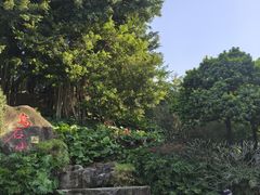 -乌山风景区