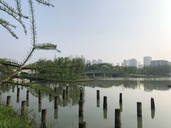 -尚贤河湿地