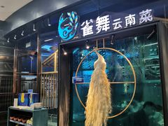 -雀舞云南菜(乐客城店)