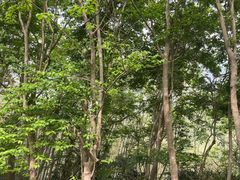 -磐安十八涡风景区