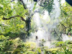 -Chom Cafe and Restaurant