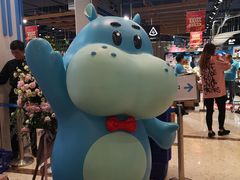 -盒马鲜生(丁香国际店)
